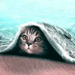 Николай Сергеевич, 07.10.1988, Санкт-Петербург