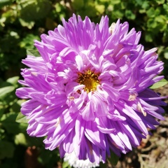 Ирина Готальская, 07.04, Минск