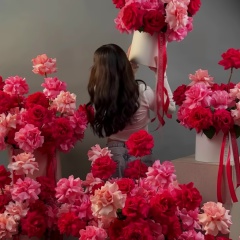 Моника Шавлохова, Владикавказ