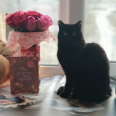 Татьяна Акименко, Архангельск