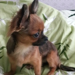 Юлия Гладких, 01.08, Москва