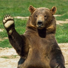 Александр Харченко