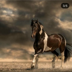 Аян Нұрман, 05.11.1993, Шу