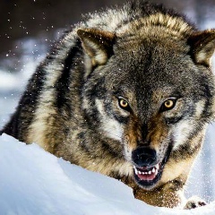 Ерназар Торегелдиев, 12.04, Алматы