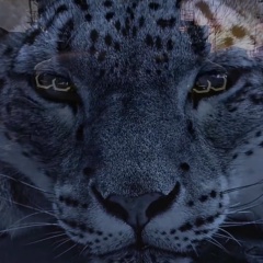 Бахадыр Рахимов, 19.06.1981, Санкт-Петербург