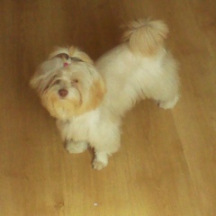 Женя Кохненко, 02.04, Гродно