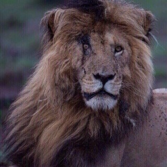 Николай Фамилия, 22.08.1988, Москва