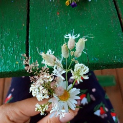 Юлия Сав, Санкт-Петербург