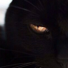 Алексей Цаплин, 09.11