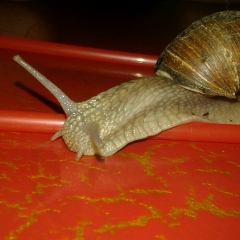 Иван Михацкий, 12.01.1986, Караганда