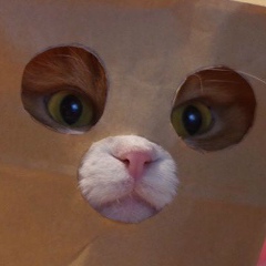 Дима Колев, 16.04.1985, Рыбница