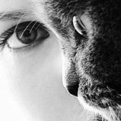 Анастасия Павлова, 14.10, Москва