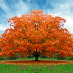 Виктория Гусева, 11.05.1989