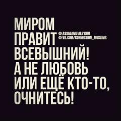 Адам Адам, 12.01, Грозный