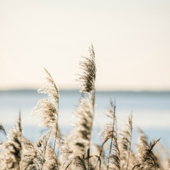 Рустам Узаиров, 27.09.1990, Ржавки