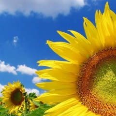 Юра Мищенко, 22.02.1987, Киев