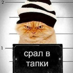 Kotik Мурзаков, 12.04, Самара