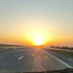 Валид Хамидов, 17.03.1987