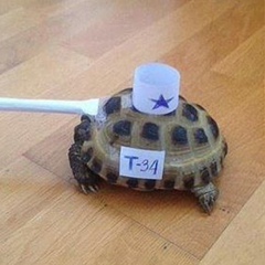 Рустам Абдуллаев, 06.12.1987, Махачкала