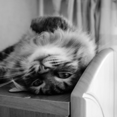 Вова Дусаев, 08.05, Москва