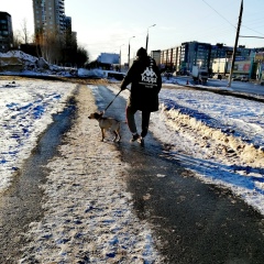 Данил Шмаков, 10.09, Курган