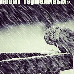 Амир Амиров, 13.06.1994, Тюмень