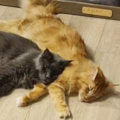 Катерина Смирнова, 09.05, Санкт-Петербург