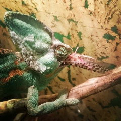 Сашка Кривов, 27.06.1982, Санкт-Петербург