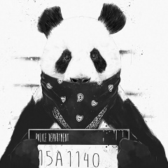 Макс Какамурадов, 25.02, Ялта