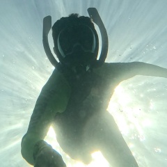 Владимир Орлов, 04.08.1977, Донецк