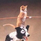 Илья Петров, Москва