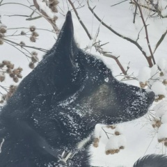 Денис Жуков, 29.03.1983, Санкт-Петербург