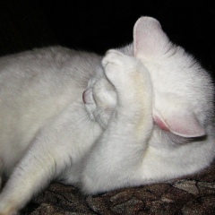 Сергей Зуев, 13.12