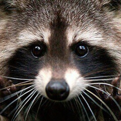 Дмитрий Никитин, 28.07, Москва