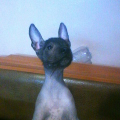 Игорь Ткаченко, 27.11, Запорожье