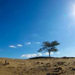 Алена Палагута, 07.09, Groningen