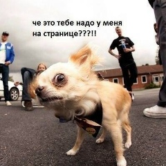 Алексей Молчанов, 24.12, Москва