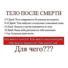 Магомед Хасуев, Гойты