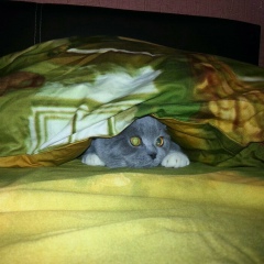 Анастасия Хлус, 06.05, Новосибирск