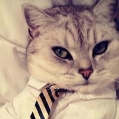 Айрат Мавлютов, 27.06, Ноябрьск