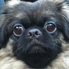 Паша Капаков, 31.05, Москва