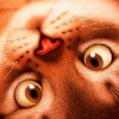 Любовь Кайгородова, 22.02, Санкт-Петербург