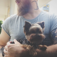 Илья Турчаник, 24.07, Киев