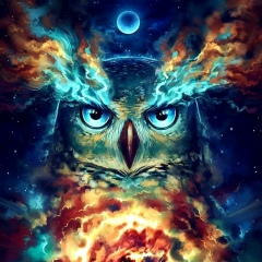 Александр Яневич, 02.03.1986, Санкт-Петербург