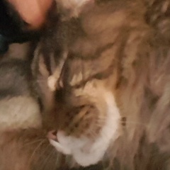 Сергей Цыбизов, 24.10.1983, Москва