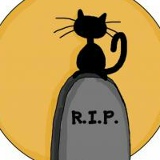 Леня Алексеев, 04.01