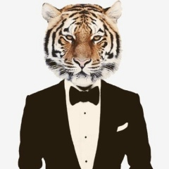 Віктор Тесля, 24.05.1991, Roma