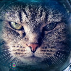 Сергей Шитов, 22.03, Нижний Тагил