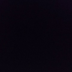 Толеген Джиенгулов, 10.09.1901