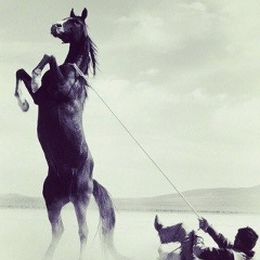 Рамил Курбанов, 01.10, Новосибирск